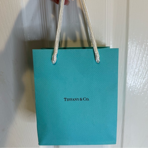 TIFFANY & CO ELSA PERETTI BEAN PENDANT DUST BAG, BOX AND GIFT BAG - Picture 12 of 16